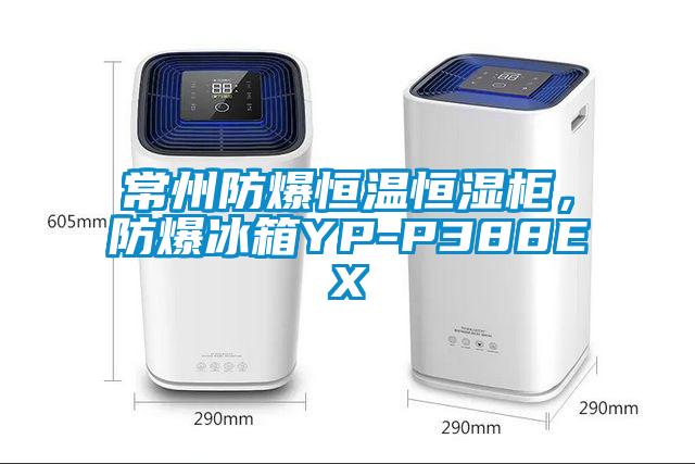 常州防爆恒溫恒濕柜，防爆冰箱YP-P388EX