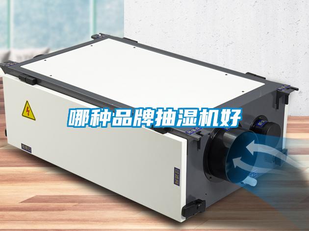 哪種品牌抽濕機好