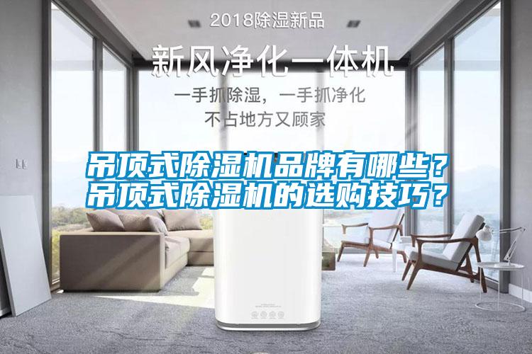 吊頂式除濕機品牌有哪些？吊頂式除濕機的選購技巧？