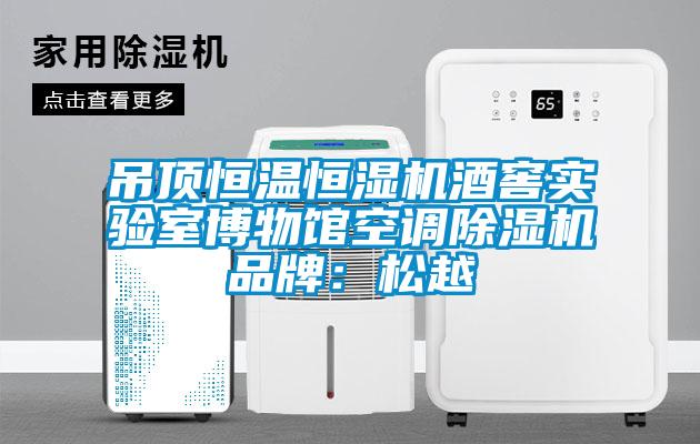 吊頂恒溫恒濕機酒窖實驗室博物館空調除濕機品牌：松越