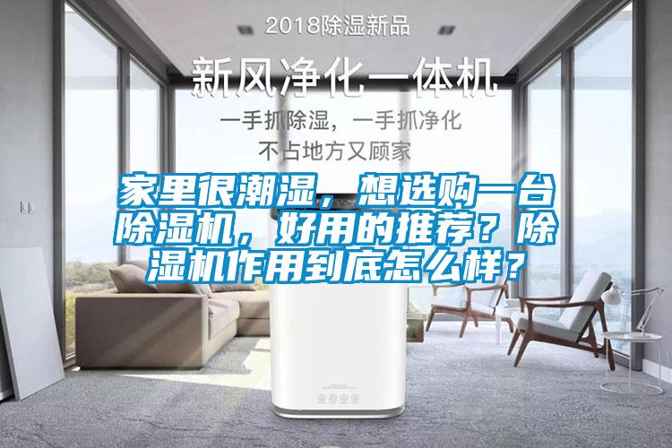 家里很潮濕，想選購一臺除濕機，好用的推薦？除濕機作用到底怎么樣？