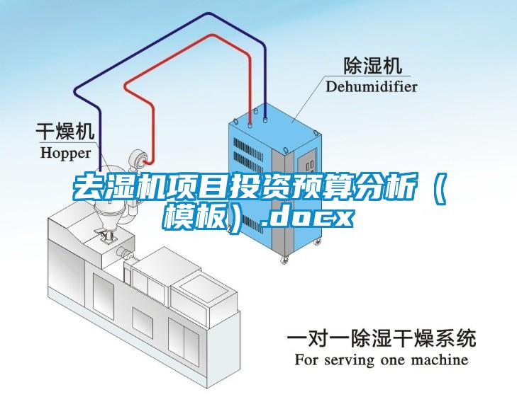 去濕機項目投資預(yù)算分析（模板）.docx