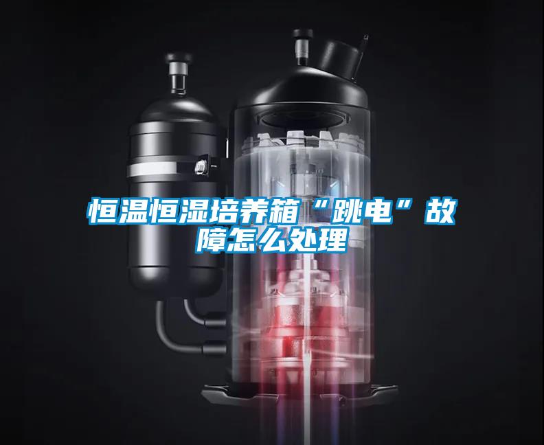 恒溫恒濕培養箱“跳電”故障怎么處理