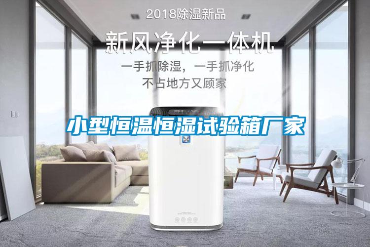 小型恒溫恒濕試驗箱廠家