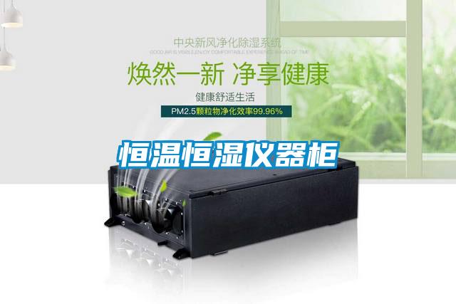 恒溫恒濕儀器柜