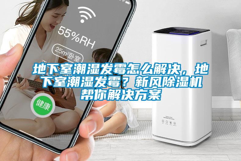 地下室潮濕發霉怎么解決，地下室潮濕發霉？新風除濕機幫你解決方案