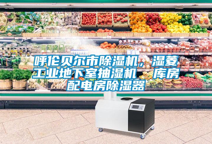 呼倫貝爾市除濕機，濕菱工業地下室抽濕機  庫房配電房除濕器