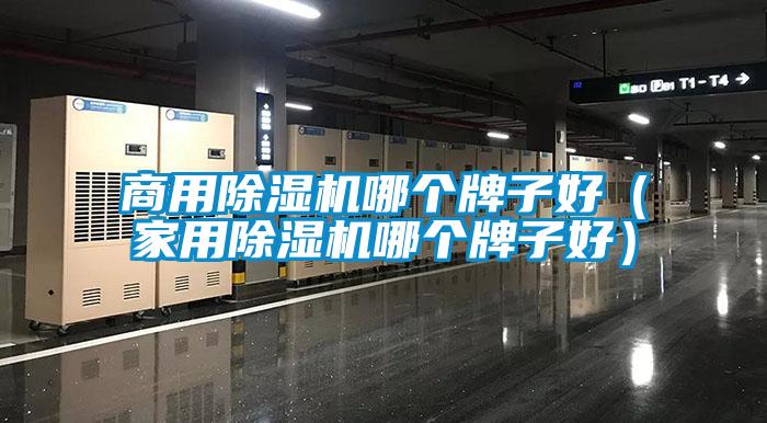 商用除濕機哪個牌子好（家用除濕機哪個牌子好）