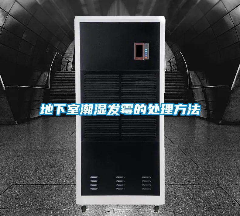 地下室潮濕發霉的處理方法