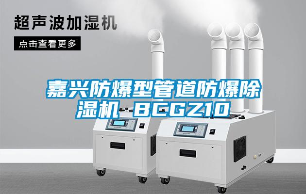 嘉興防爆型管道防爆除濕機(jī) BCGZ10