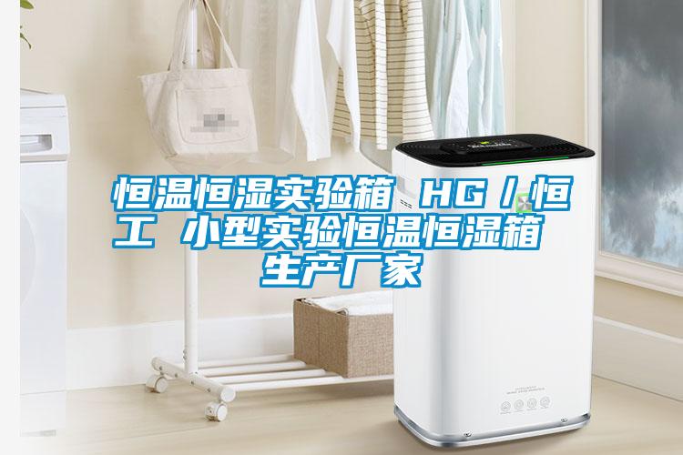 恒溫恒濕實驗箱 HG／恒工 小型實驗恒溫恒濕箱 生產廠家