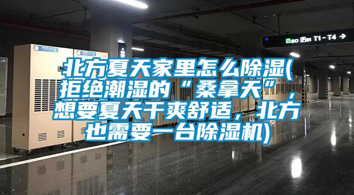 北方夏天家里怎么除濕(拒絕潮濕的“桑拿天”，想要夏天干爽舒適，北方也需要一臺除濕機)