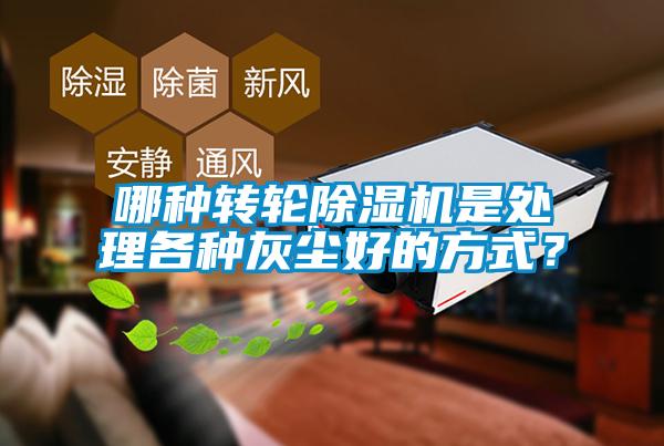 哪種轉輪除濕機是處理各種灰塵好的方式？