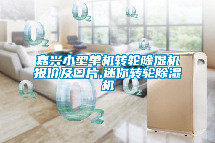 嘉興小型單機(jī)轉(zhuǎn)輪除濕機(jī)報(bào)價(jià)及圖片,迷你轉(zhuǎn)輪除濕機(jī)