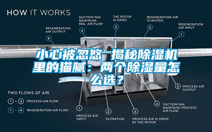 小心被忽悠 揭秘除濕機里的貓膩：兩個除濕量怎么選？