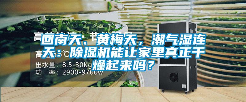 回南天、黃梅天，潮氣濕連天：除濕機能讓家里真正干燥起來嗎？