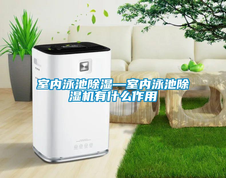 室內(nèi)泳池除濕—室內(nèi)泳池除濕機(jī)有什么作用