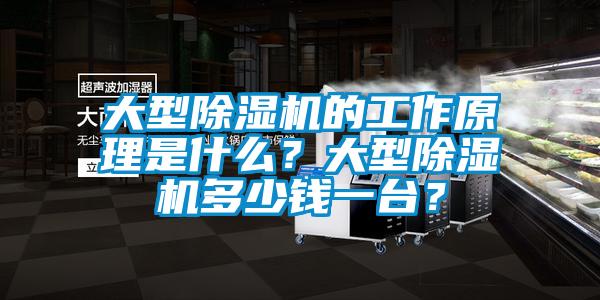 大型除濕機的工作原理是什么？大型除濕機多少錢一臺？