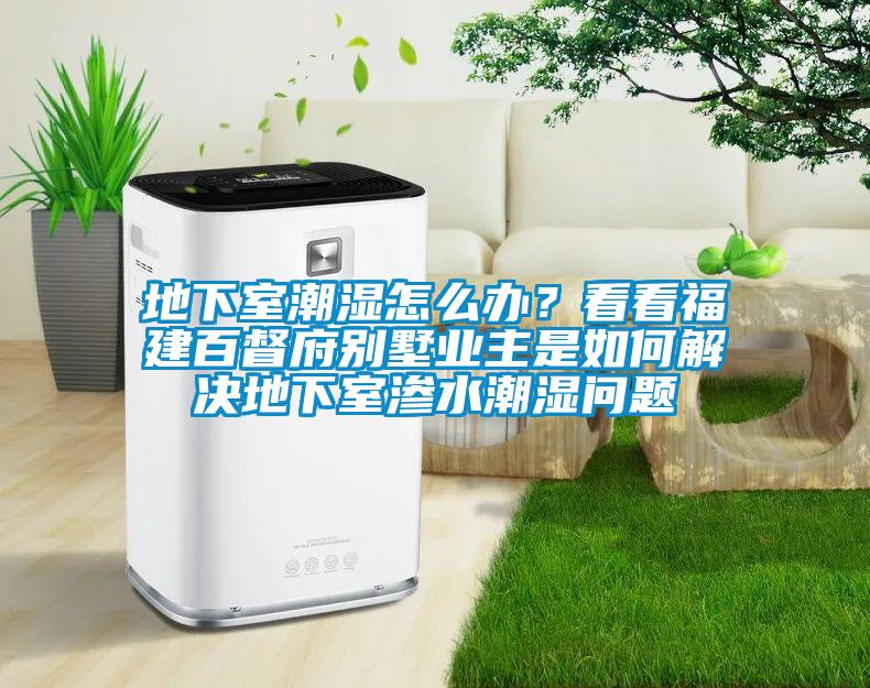 地下室潮濕怎么辦？看看福建百督府別墅業(yè)主是如何解決地下室滲水潮濕問題