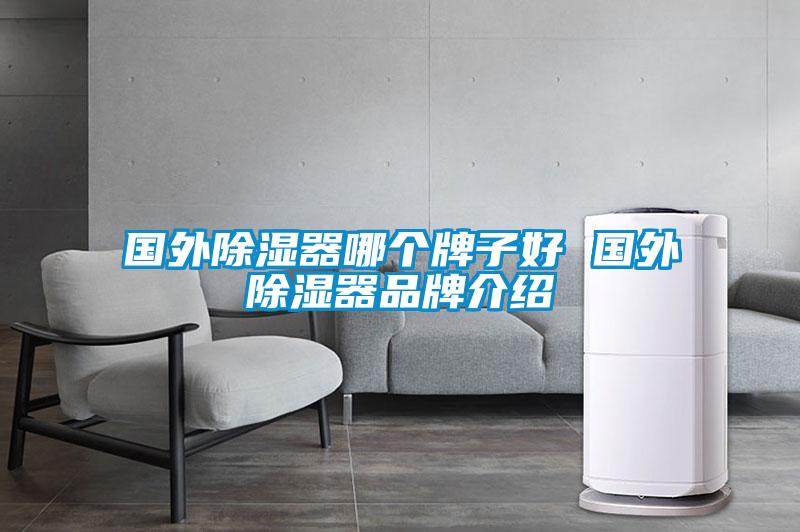 國外除濕器哪個(gè)牌子好 國外除濕器品牌介紹