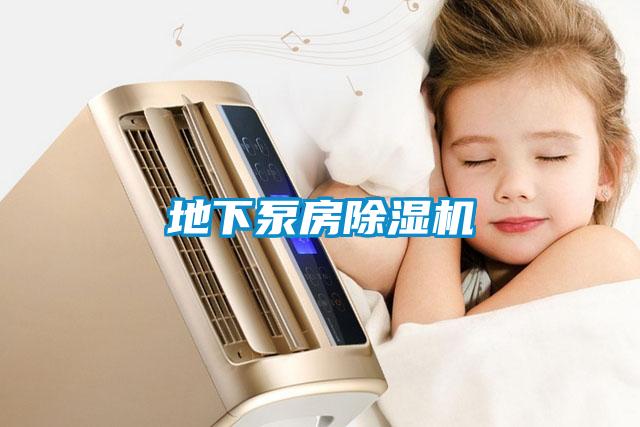 地下泵房除濕機
