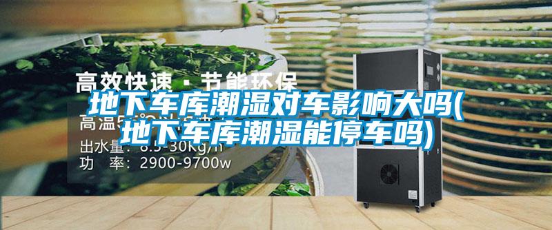 地下車庫潮濕對車影響大嗎(地下車庫潮濕能停車嗎)