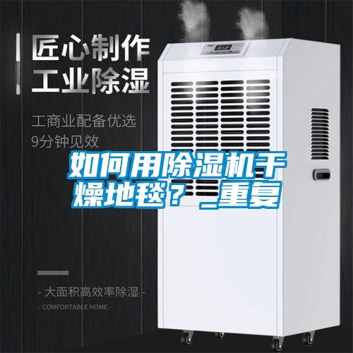 如何用除濕機干燥地毯？_重復