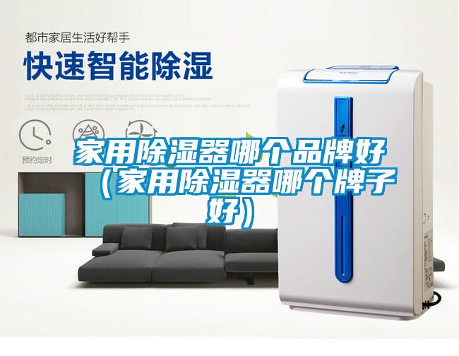 家用除濕器哪個品牌好（家用除濕器哪個牌子好）