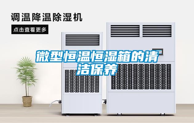 微型恒溫恒濕箱的清潔保養(yǎng)