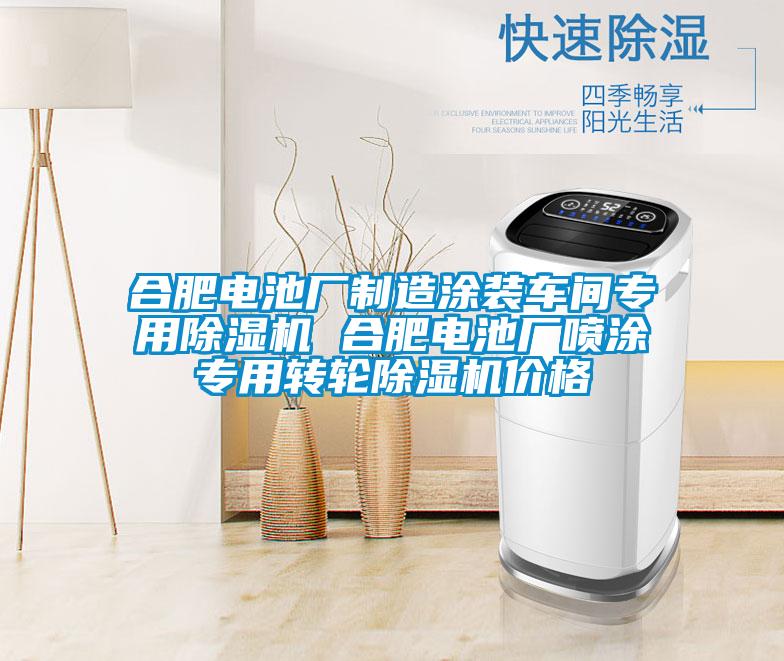 合肥電池廠制造涂裝車間專用除濕機 合肥電池廠噴涂專用轉輪除濕機價格