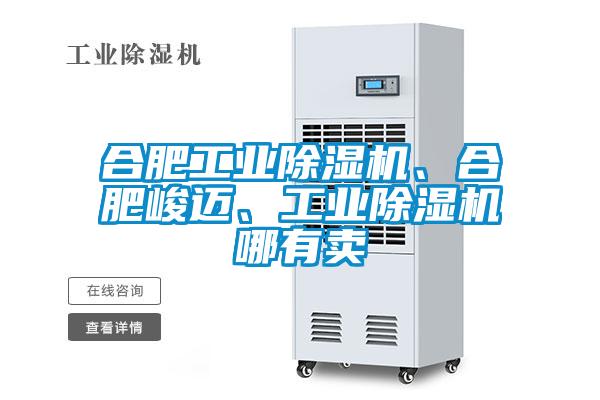 合肥工業除濕機、合肥峻邁、工業除濕機哪有賣