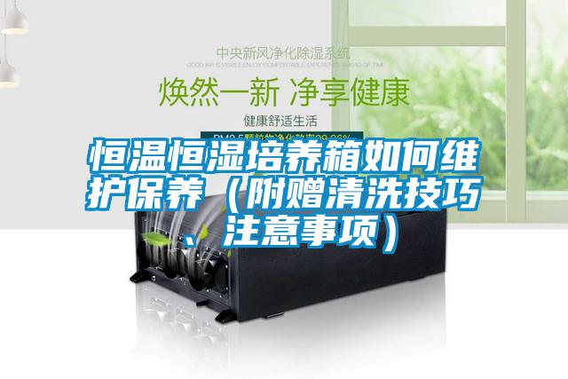 恒溫恒濕培養箱如何維護保養（附贈清洗技巧、注意事項）