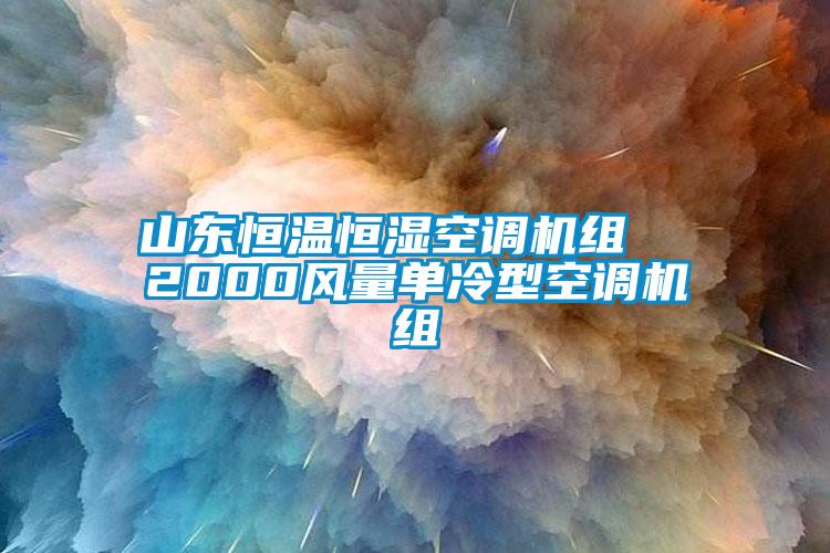 山東恒溫恒濕空調機組  2000風量單冷型空調機組