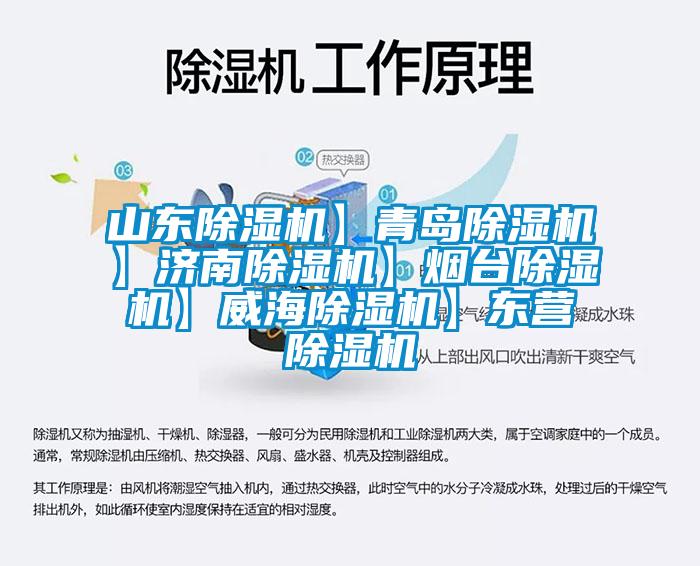 山東除濕機】青島除濕機】濟南除濕機】煙臺除濕機】威海除濕機】東營除濕機