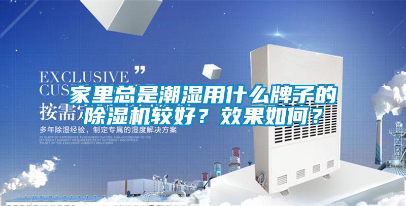 家里總是潮濕用什么牌子的除濕機較好？效果如何？