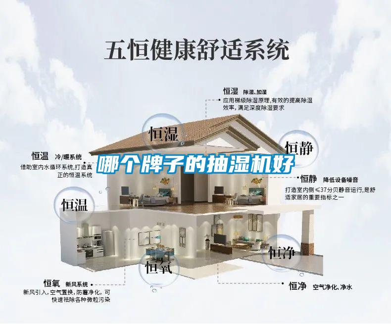哪個牌子的抽濕機好