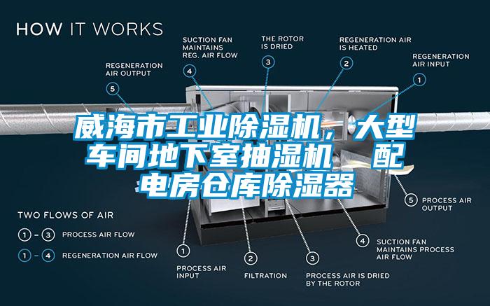威海市工業除濕機，大型車間地下室抽濕機  配電房倉庫除濕器