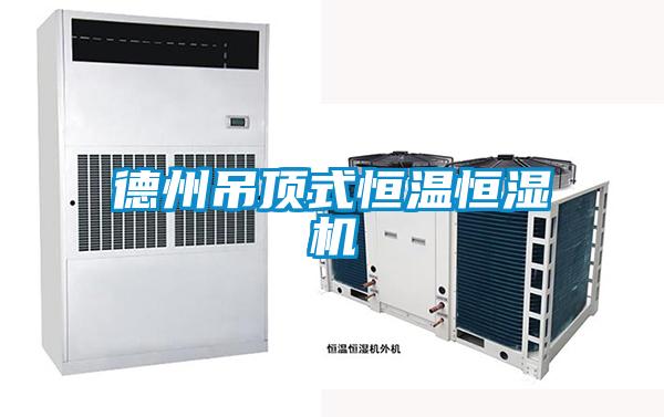 德州吊頂式恒溫恒濕機