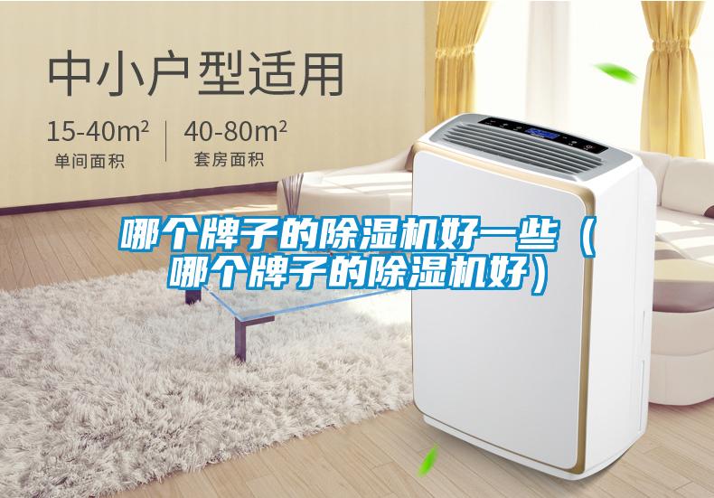 哪個牌子的除濕機好一些（哪個牌子的除濕機好）