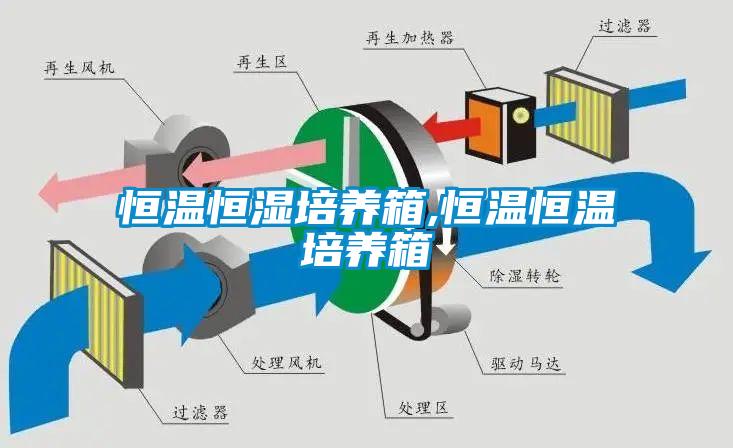 恒溫恒濕培養(yǎng)箱,恒溫恒溫培養(yǎng)箱
