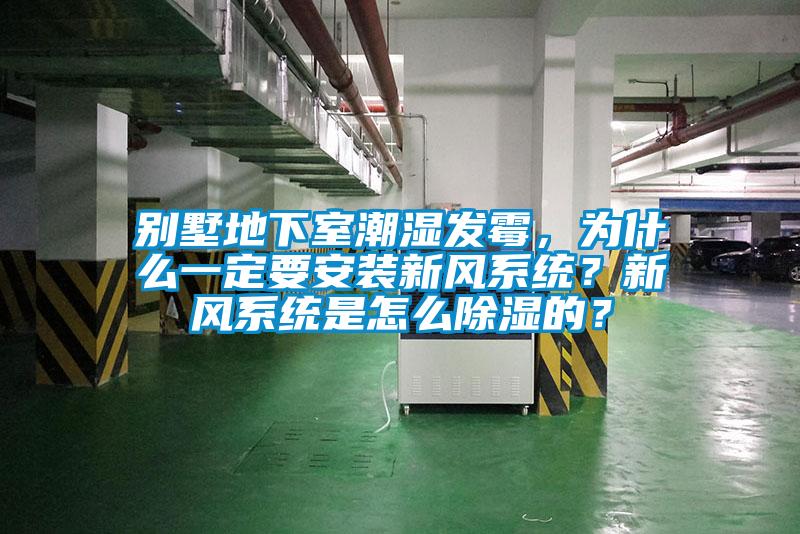 別墅地下室潮濕發霉，為什么一定要安裝新風系統？新風系統是怎么除濕的？