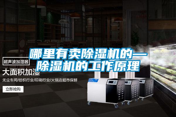 哪里有賣除濕機的—除濕機的工作原理