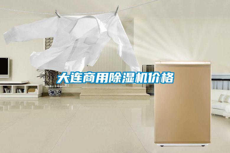 大連商用除濕機(jī)價(jià)格
