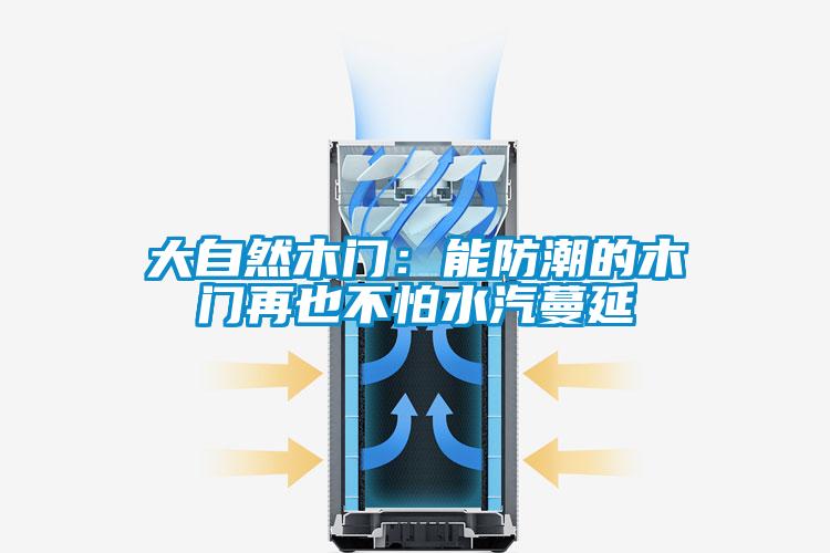 大自然木門：能防潮的木門再也不怕水汽蔓延