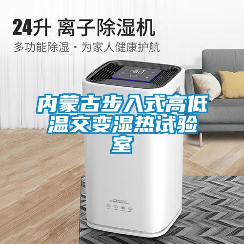 內蒙古步入式高低溫交變濕熱試驗室