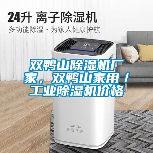 雙鴨山除濕機廠家，雙鴨山家用／工業除濕機價格