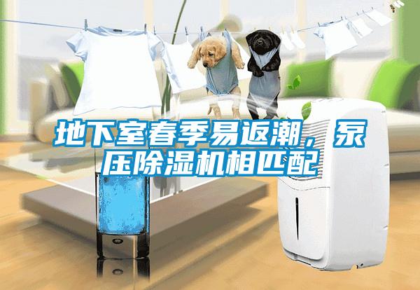 地下室春季易返潮，泵壓除濕機相匹配