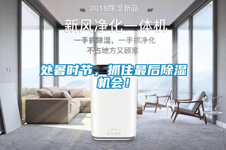 處暑時節，抓住最后除濕機會！