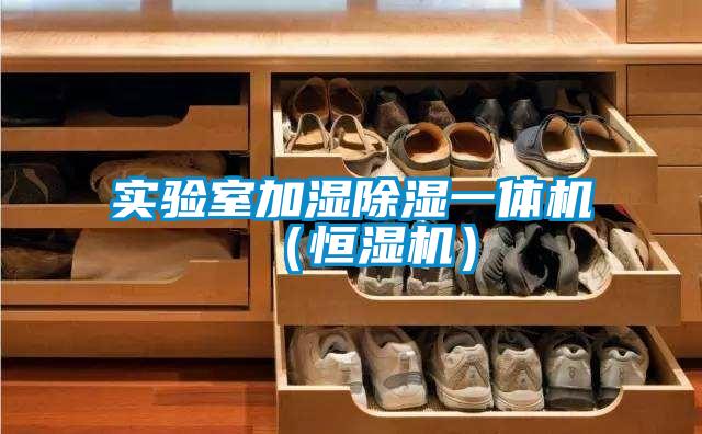 實驗室加濕除濕一體機（恒濕機）