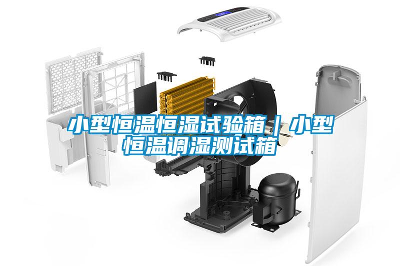 小型恒溫恒濕試驗(yàn)箱｜小型恒溫調(diào)濕測(cè)試箱